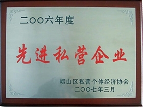 2006年度先进私营企业