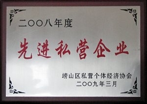 2008年度先进私营企业